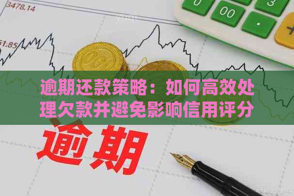 逾期还款策略：如何高效处理欠款并避免影响信用评分