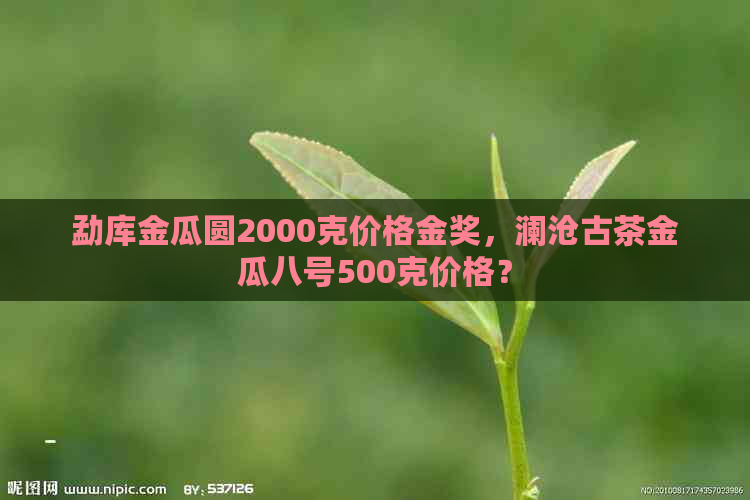 勐库金瓜圆2000克价格金奖，澜沧古茶金瓜八号500克价格？