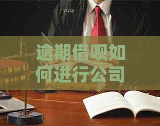 逾期借呗如何进行公司对公还款，详细步骤解析