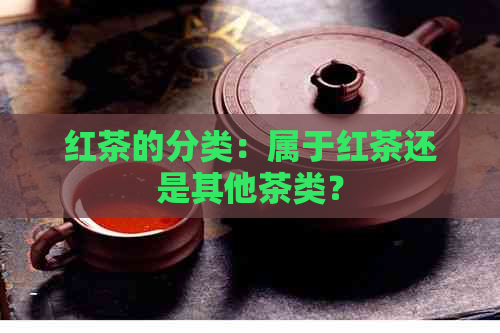 红茶的分类：属于红茶还是其他茶类？