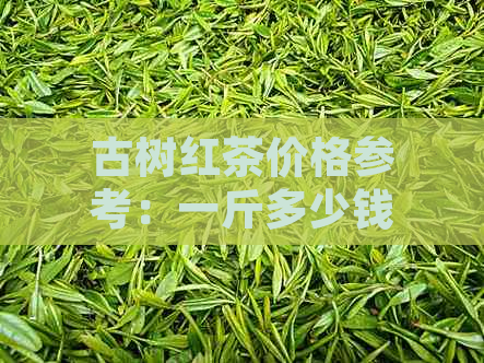 古树红茶价格参考：一斤多少钱才是合理？如何判断红茶的品质和价格？