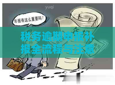 税务逾期申报补报全流程与注意事项