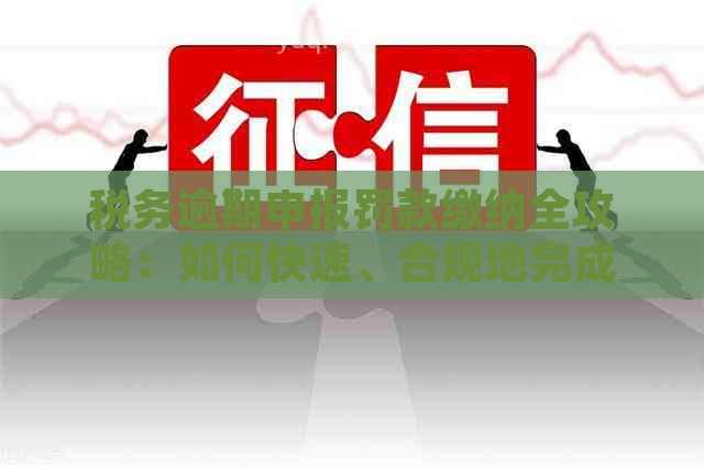 税务逾期申报罚款缴纳全攻略：如何快速、合规地完成罚款支付并避免后续问题