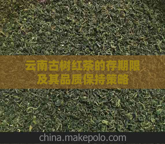 云南古树红茶的存期限及其品质保持策略