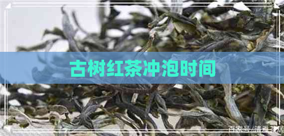 古树红茶冲泡时间