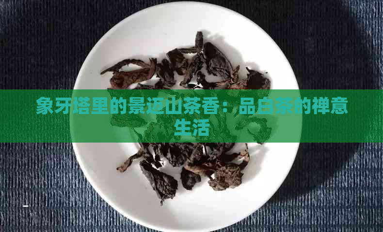 象牙塔里的景迈山茶香：品白茶的禅意生活