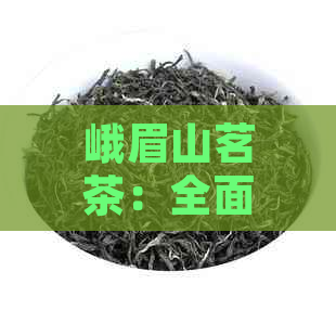 峨眉山茗茶：全面解析其功效、作用与适用人群，助你健饮茶新体验