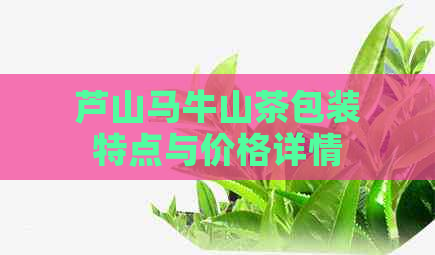 芦山马牛山茶包装特点与价格详情