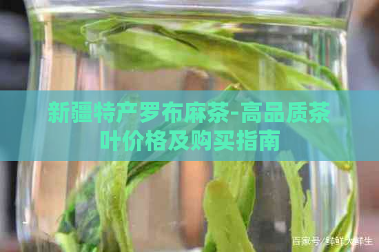 新疆特产罗布麻茶-高品质茶叶价格及购买指南