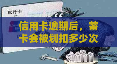 信用卡逾期后，蓄卡会被划扣多少次？每次划扣的时间间隔是多少？