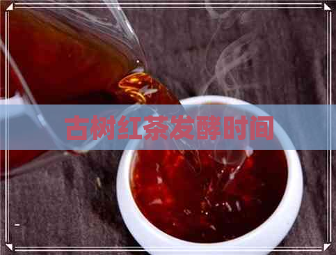 古树红茶发酵时间