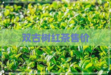 双古树红茶售价