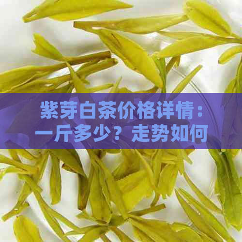 紫芽白茶价格详情：一斤多少？走势如何？特点解析及新品种介绍