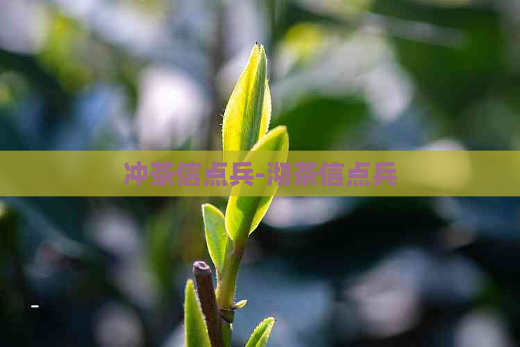 冲茶信点兵-沏茶信点兵