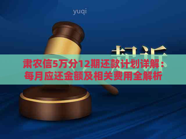 肃农信5万分12期还款计划详解：每月应还金额及相关费用全解析