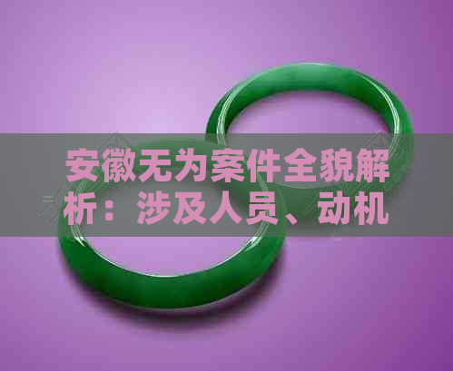 安徽无为案件全貌解析：涉及人员、动机、证据及判决结果等重要信息全面呈现