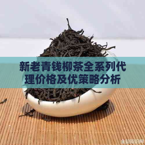 新老青钱柳茶全系列代理价格及优策略分析