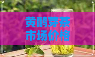 黄鹂芽茶市场价格