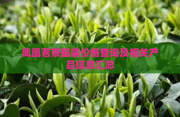 凤凰茗茶罐装价格查询及相关产品信息汇总