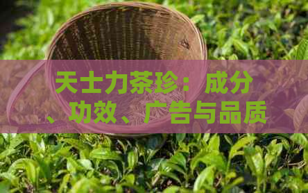 天士力茶珍：成分、功效、广告与品质全解析