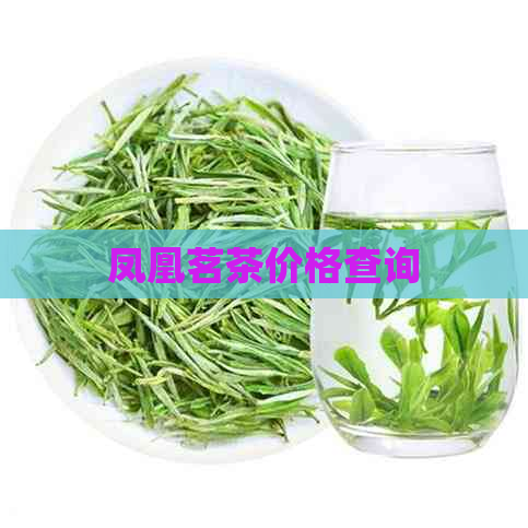 凤凰茗茶价格查询