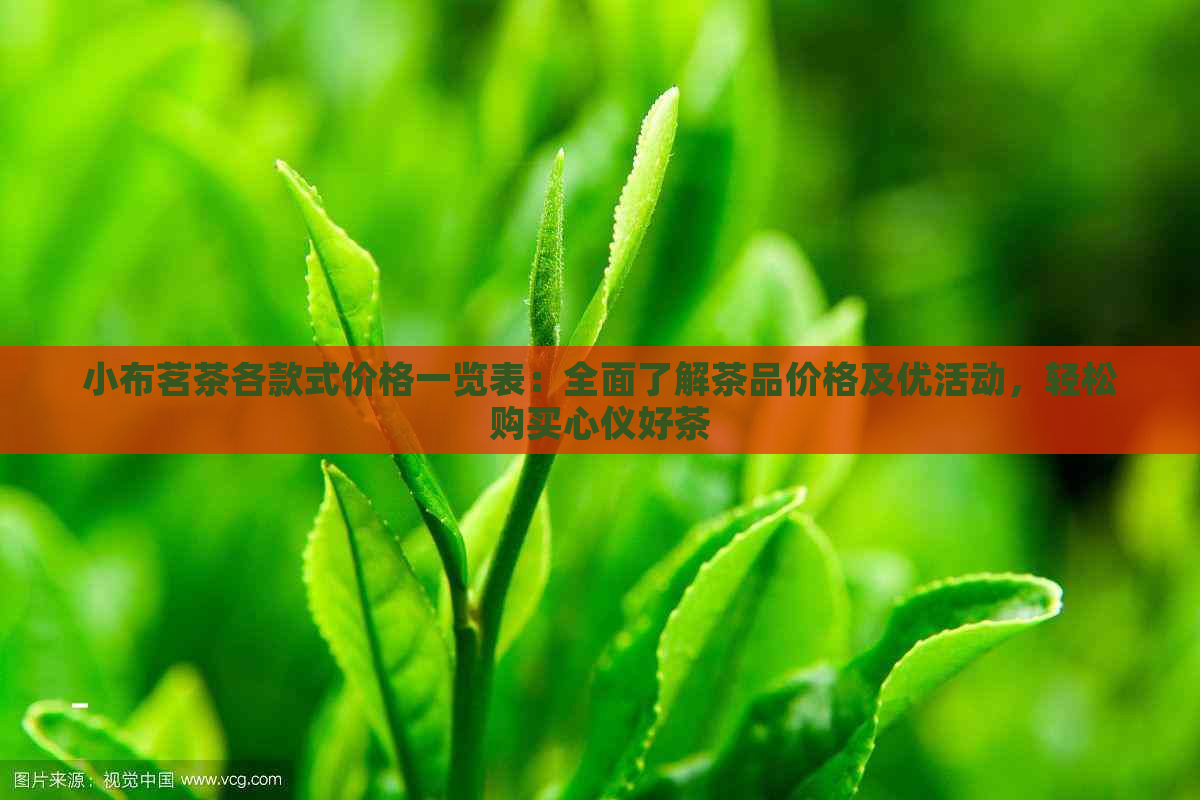 小布茗茶各款式价格一览表：全面了解茶品价格及优活动，轻松购买心仪好茶