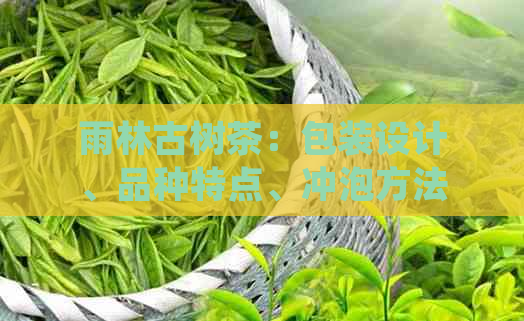 雨林古树茶：包装设计、品种特点、冲泡方法及品尝体验全方位解析