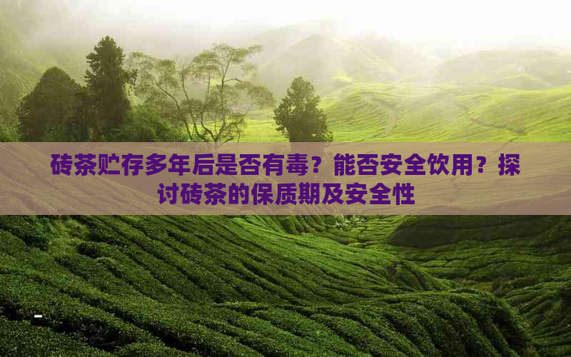 砖茶贮存多年后是否有？能否安全饮用？探讨砖茶的保质期及安全性