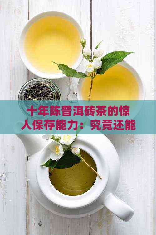 十年陈普洱砖茶的惊人保存能力：究竟还能不能喝？