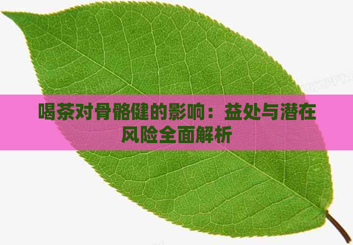 喝茶对骨骼健的影响：益处与潜在风险全面解析