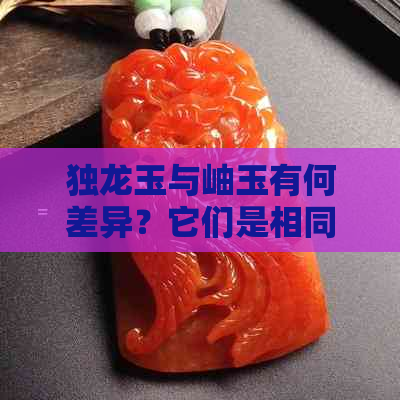 独龙玉与岫玉有何差异？它们是相同的吗？