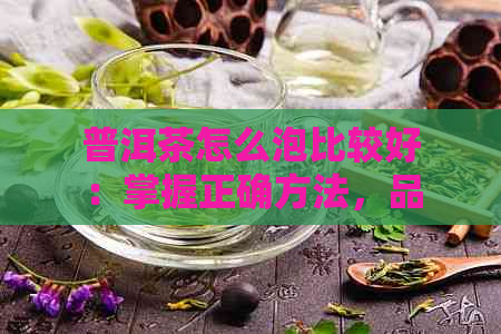 普洱茶怎么泡比较好：掌握正确方法，品味醇厚口感