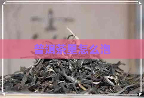 普洱茶里怎么泡