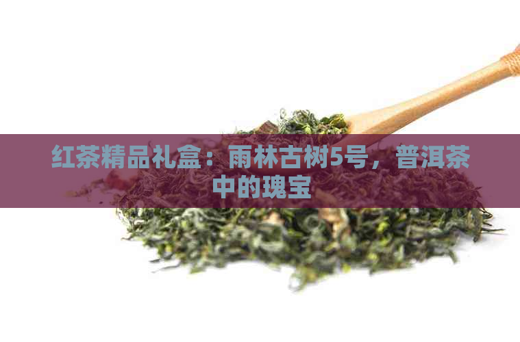 红茶精品礼盒：雨林古树5号，普洱茶中的瑰宝