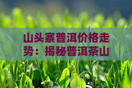 山头寨普洱价格走势：揭秘普洱茶山头名寨的价格变化，你了解了吗？