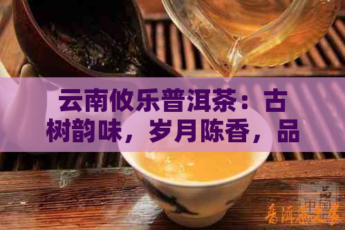 云南攸乐普洱茶：古树韵味，岁月陈香，品鉴新境界