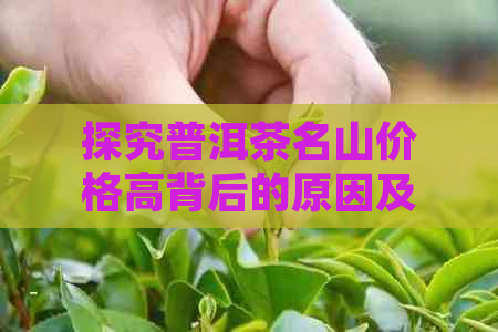 探究普洱茶名山价格高背后的原因及消费者如何看待这一现象