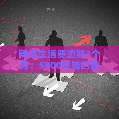 美团生活费逾期3个月：5000块钱的后果与解决方案