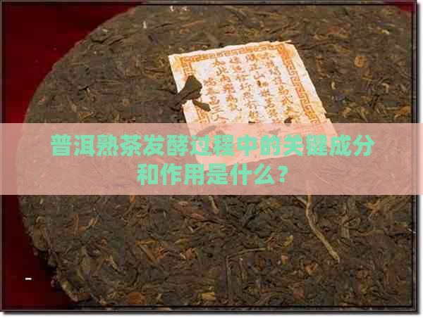 普洱熟茶发酵过程中的关键成分和作用是什么？