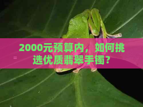 2000元预算内，如何挑选优质翡翠手镯？