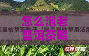 怎么泡老普洱茶喝？