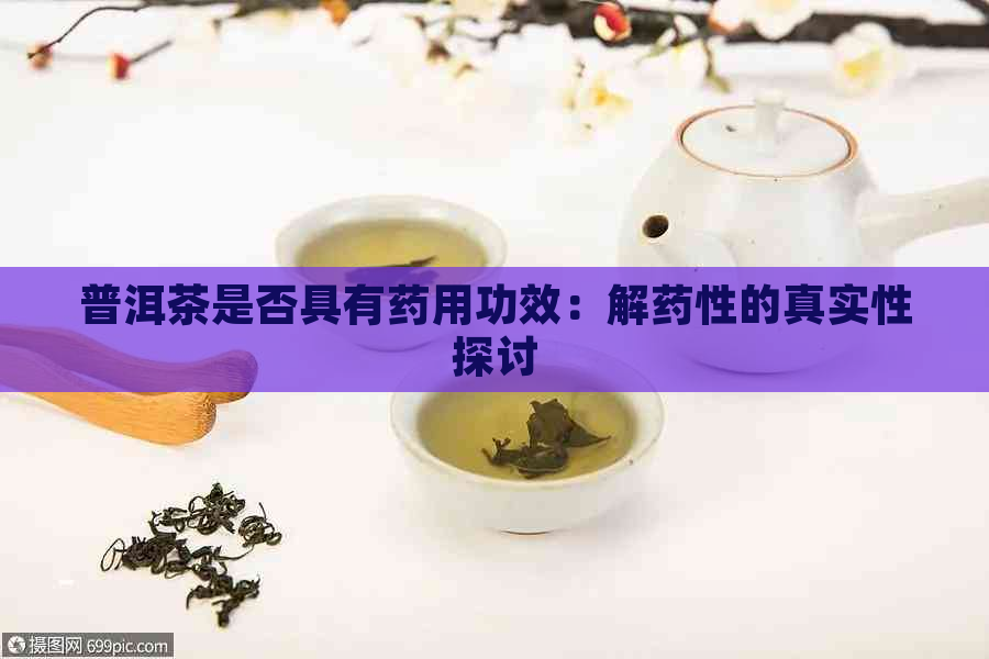 普洱茶是否具有药用功效：解药性的真实性探讨