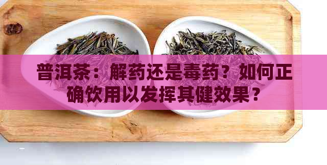 普洱茶：解药还是药？如何正确饮用以发挥其健效果？