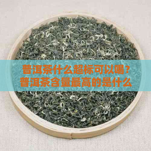 普洱茶什么超标可以喝？普洱茶含量更高的是什么？