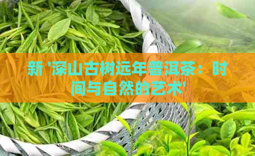 新 '深山古树远年普洱茶：时间与自然的艺术'