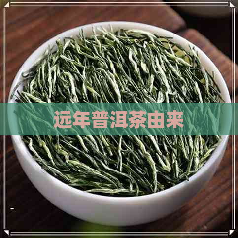 远年普洱茶由来