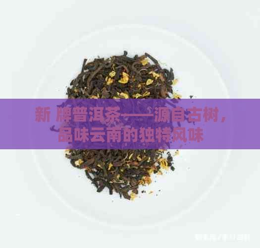 新 牌普洱茶——源自古树，品味云南的独特风味