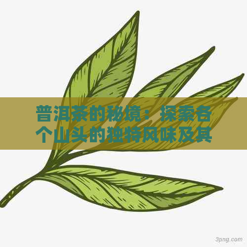 普洱茶的秘境：探索各个山头的独特风味及其产地背景