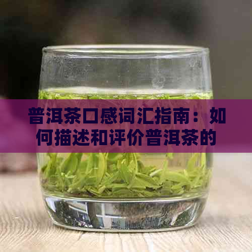 普洱茶口感词汇指南：如何描述和评价普洱茶的风味特征