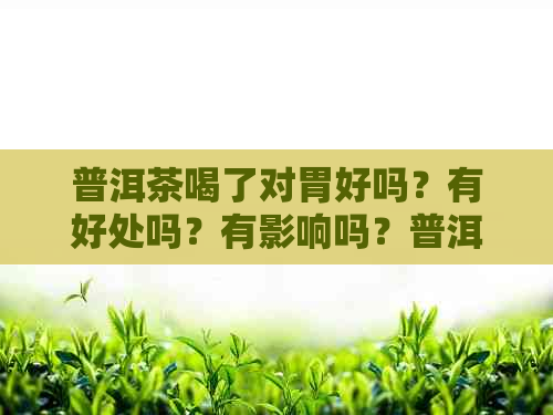 普洱茶喝了对胃好吗？有好处吗？有影响吗？普洱茶喝了对胃好不好？